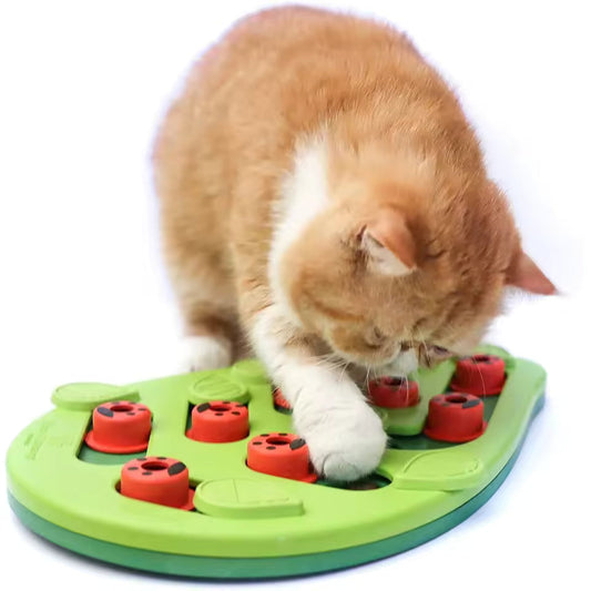 Rainy Day Interactive Cat Puzzle – Treat & Scratcher Toy